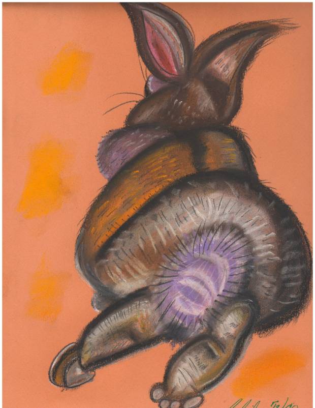 Wild bunny at rest, drawn by Belinda Baardsen﻿, '13/CO ~   WILD RABBITS DO NOT MAKE GOOD PETS.   They are wild things and have wild instincts. They do not trust humans and do not accept other domestic animals as companions. Please do not consider keeping these incredible and fragile creatures as a pet – to keep a cottontail in a cage for the rest of its life is to doom it to a life of sadness and broken spirit.  For further information, please contact us! WildRescue, Inc./Rabbit Rescue Phone: 972-891-9286 E-mail: wildrescuetexas@gmail.com